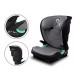 Lionelo - Scaun auto Neal Stone Spatar reglabil Baza i-size 15-36 Kg cu Isofix Conform cu standardul european de securitate ECE 