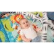 Lionelo - Salteluta interactiva Anika Plus Cu jucarii Conform cu standardul european de securitate EN71 Multicolor
