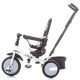 Tricicleta cu sezut reversibil Chipolino Largo asphalt