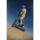 Lionelo - Trotineta Whizz Pentru Acrobatii Rulmenti ABEC-9 Sistemul de compresie IHC 9 20 - 100 kg Conform cu standardul europea