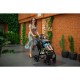 Lionelo - Carucior Amber 2 in 1 Cadru aluminiu Cu landou intarit si salteluta moale Reversibil Maner ajustabil Huse pentru picio