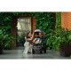 Lionelo - Carucior Amber 2 in 1 Cadru aluminiu Cu landou intarit si salteluta moale Reversibil Maner ajustabil Huse pentru picio