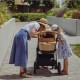 Petite&Mars - Carucior 2 in 1 Trails Heritage Bee Editie limitata Cu protectie de picioare si salteluta suplimentara De la naste