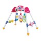 Centru de activitati cu arcada Cu melodii Cu jucarii multiple De Luxe Pink Baby Mix
