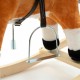 Calut balansoar din plus Cu efecte de miscare a gurii si a cozii Cu melodie de cowboy si efect de galop  Baby Mix Maro Deschis