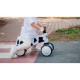 Lionelo - Bicicleta fara pedale Sammy Cu 4 roti Din spuma EVA Stabila Manere moi antiderapante 12- 36 luni Greutate maxima supor