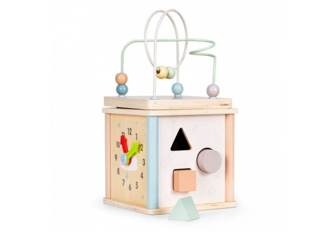 Cub educational din lemn pentru copii Ecotoys 1001