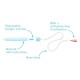 FridaBaby - Aspirator nazal pentru bebelusi Construit in Suedia de medicii ORL Fara ftalati si BPA Transparent
