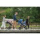 Lionelo - Carucior sport Annet Plus Editie limitata De la nastere Cu accesorii si capotina XXL reglabila 0 - 22 Kg Conform cu st