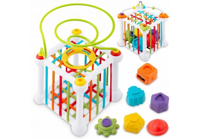 Cub educational cu diverse forme Ricokids RK-759