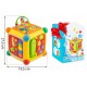 Cub educational cu blocuri sunete si diverse activitati Ricokids RK-747
