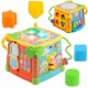 Cub educational cu blocuri sunete si diverse activitati Ricokids RK-748