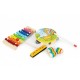 Set cu instrumente muzicale pentru copii din lemn 14 instrumente Ecotoys ESC-W-0243C