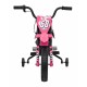 Motocicleta electrica PANTONE 361C roti EVA + 2 roti ajutatoare scaun tapitat 108x59x72 cm putere 60W - Roz