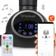 Leagan electric 2 in 1 Kidwell Reve - Black Silver