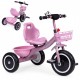 Tricicleta cu pedale pentru copii roti din spuma EVA Ecotoys WQL-1999 - Roz
