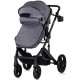 Carucior Chipolino Amore 2 in 1 cloud grey