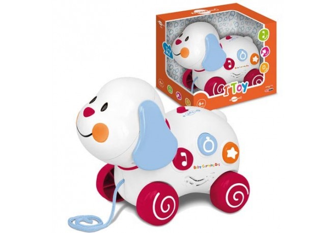 Catelusul cantaret Piccino Piccio