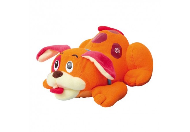 Catelusul tau din plus Piccino Piccio