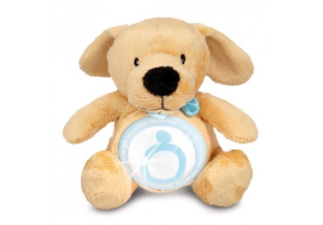 Jucarie plus pentru baieti Vise Placute Piccino Piccio