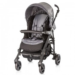 Carucior Chipolino Pooky grey