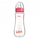 Biberon anticolici copii de la 0 luni Baby Ono 1209 240 ml